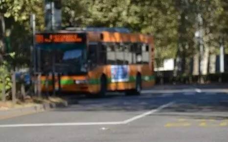 意大利公交司机路边停车,只为与女乘客“车震”(图) - 1