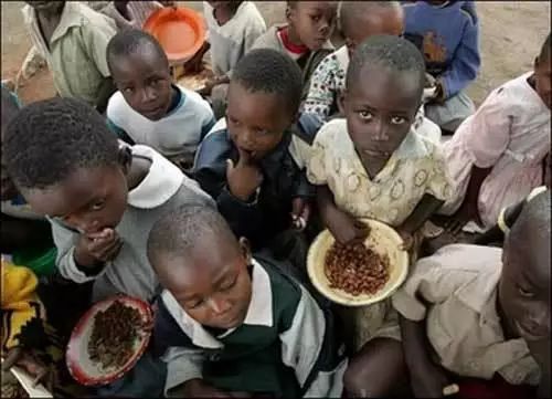 实拍:非洲穷人的真实生活,吃不饱穿不暖,饿得连苍蝇都