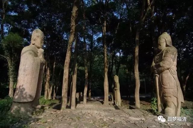 福清灵石山10000株山茶樱刷爆朋友圈,你不来