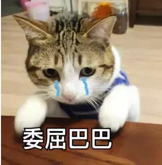 英国超市卖剥皮洋葱，反被痛骂助长懒惰？那你们是没来过中国……