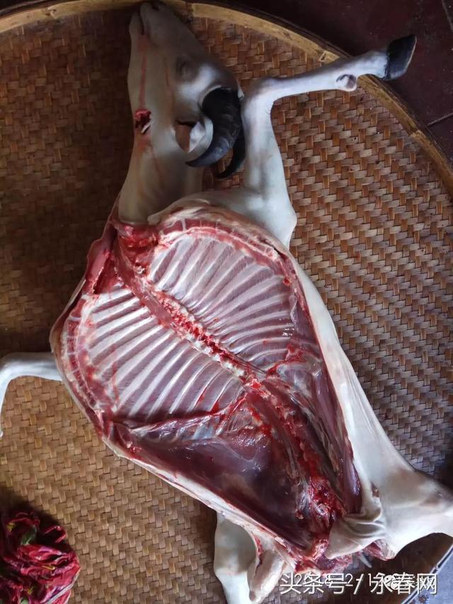 永春石鼓一村民杀羊获颗“羊宝”, 价值可达数百万元！？？你咋看