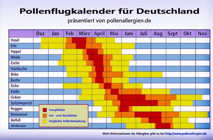 花粉过敏 为什么德国今年症状最严重 专家给你解读 多伦多 新闻 华人头条