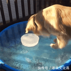 搞笑gif: 生活中用到最后的牙膏不能浪费, 挤挤还能用