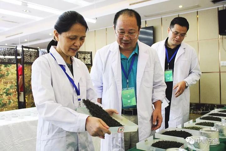 斗茶品茗、茶香飘扬_寿宁县举办第六届斗茶赛及茶王拍卖 斗茶品茗、茶香飘扬_寿宁县举办第六届斗茶赛及茶王拍卖