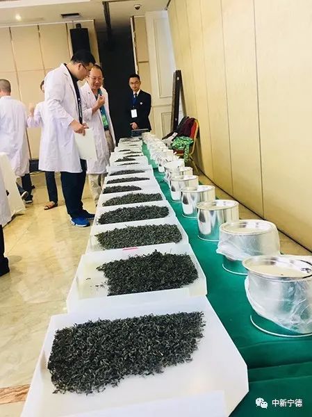 斗茶品茗、茶香飘扬_寿宁县举办第六届斗茶赛及茶王拍卖 斗茶品茗、茶香飘扬_寿宁县举办第六届斗茶赛及茶王拍卖
