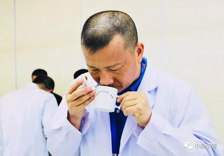 斗茶品茗、茶香飘扬_寿宁县举办第六届斗茶赛及茶王拍卖 斗茶品茗、茶香飘扬_寿宁县举办第六届斗茶赛及茶王拍卖