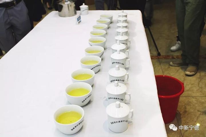 斗茶品茗、茶香飘扬_寿宁县举办第六届斗茶赛及茶王拍卖 斗茶品茗、茶香飘扬_寿宁县举办第六届斗茶赛及茶王拍卖