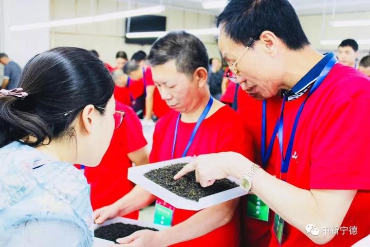 斗茶品茗、茶香飘扬_寿宁县举办第六届斗茶赛及茶王拍卖 斗茶品茗、茶香飘扬_寿宁县举办第六届斗茶赛及茶王拍卖
