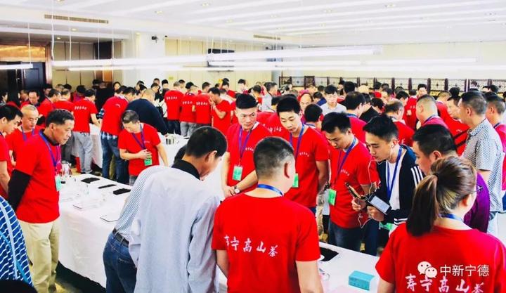 斗茶品茗、茶香飘扬_寿宁县举办第六届斗茶赛及茶王拍卖 斗茶品茗、茶香飘扬_寿宁县举办第六届斗茶赛及茶王拍卖