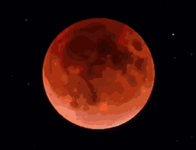 澳洲迎百年一遇血月全食奇观! 赶紧领着喜欢的人走起.