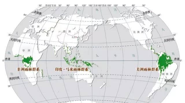 看热带雨林全球分布图,中国的热带雨林都在哪些地方?图片