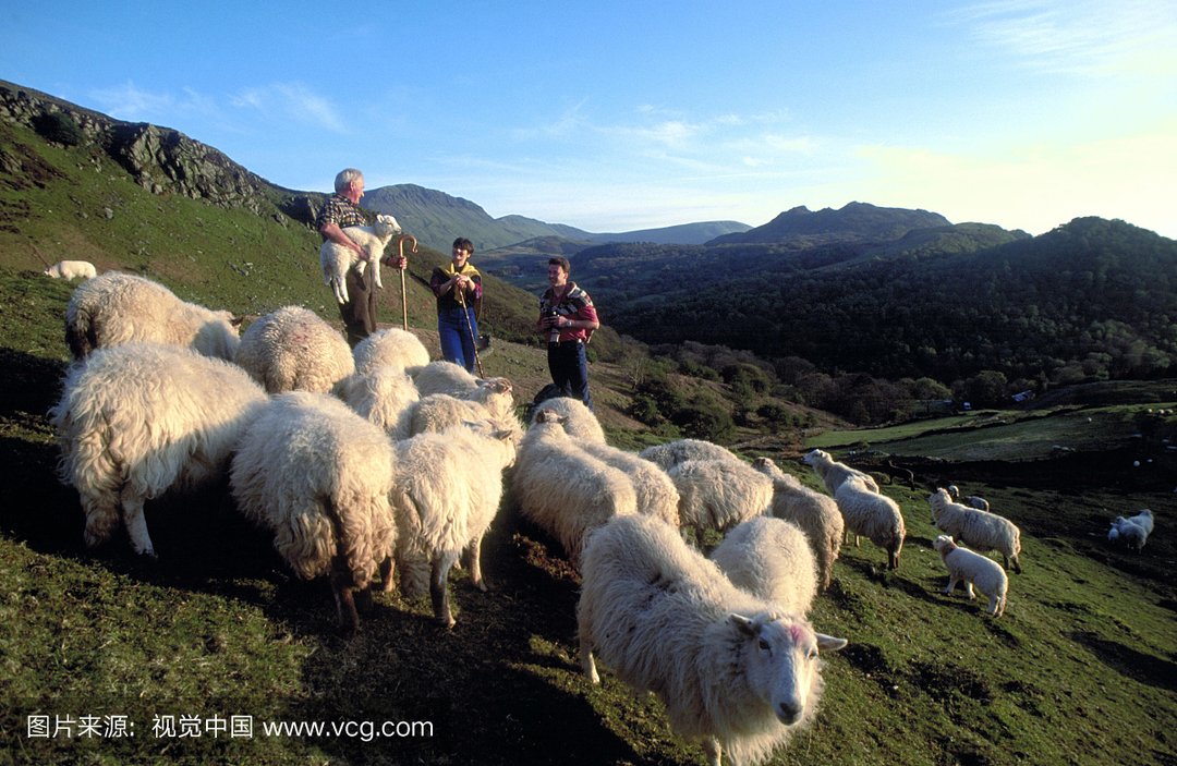 伊农的诗:牧羊人