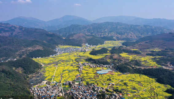 贵州率先在全国提出来一场振兴农村经济的深