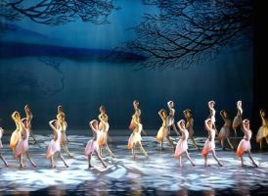 感动数十万观众的中国绝美舞剧，将于北美震撼上演！立即订票！<