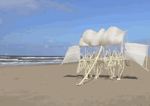 308_218gif 动态图 动图