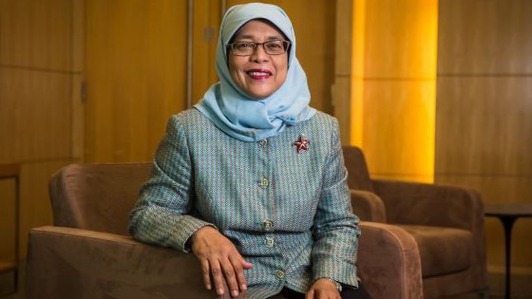 总统的人士当中,只有在主要公共服务领域服务了至少三年的哈莉玛符合