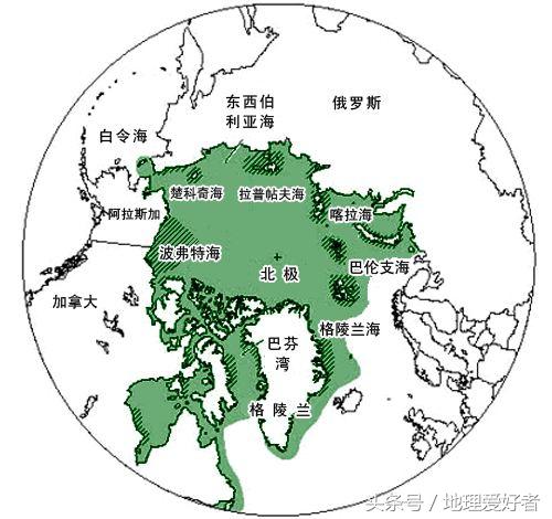 为什么只有北极有北极熊?南极没有熊