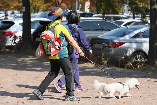 市民在首尔麻浦区世界杯公园内遛狗.