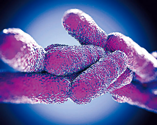 显微镜下在水里生长的退伍军人病菌.纽约市卫生局提供