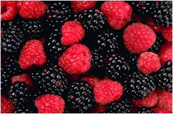 新西兰水果季—采摘果园指南