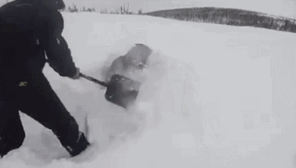 而这几名摩托车手想都没想,便拿起铁锹上千铲雪,帮助这只麋鹿脱困.