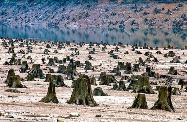 18张照片告诉你人类的大灾难越来越近,"千疮百孔"的地球