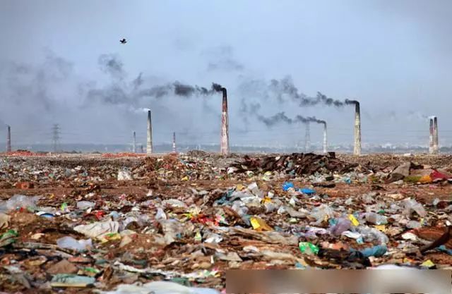 镜头下:地球正面临的严重危境,看了让人心碎