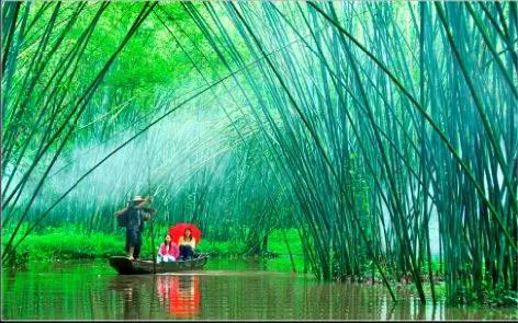 谢立摄,来自肇庆市旅游局竹海大观景区新年音乐节2月21(年初六)广宁县
