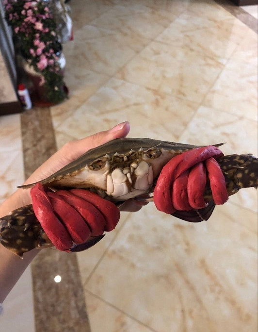 大连网友买螃蟹 一斤螃蟹送半斤皮筋