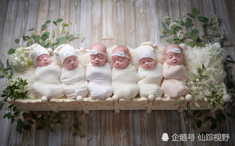 waldrop夫妇请专业摄影师来给宝宝拍摄照片.