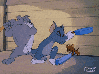 印象中,宠物"闯祸"的故事在动画片《汤姆和杰瑞》中每日都上演,而当下