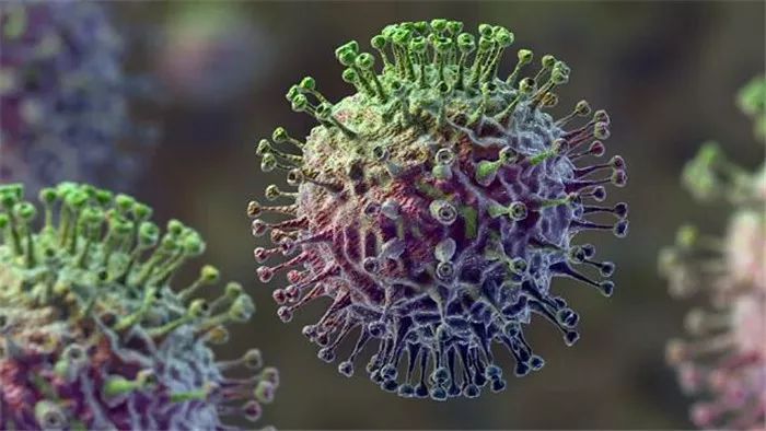 事关人命:致命病毒再次袭击德国!已经从动物传染给人