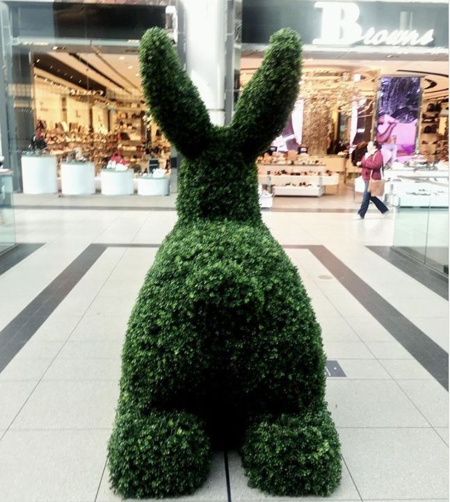 eaton center 惊现巨型绿兔子,ins网红拖家带口跑去合影!