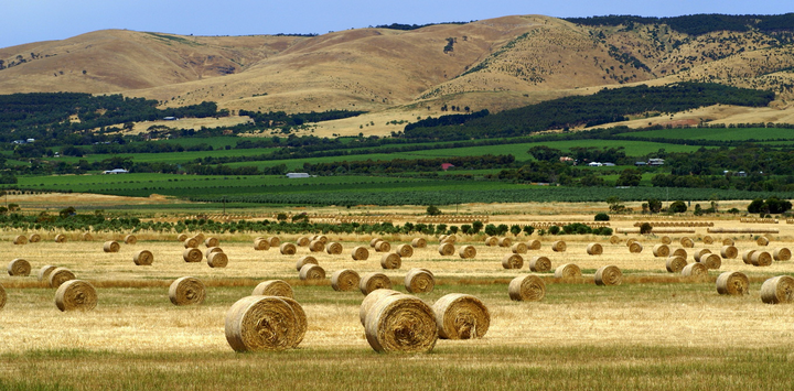 澳大利亚混合农业图片