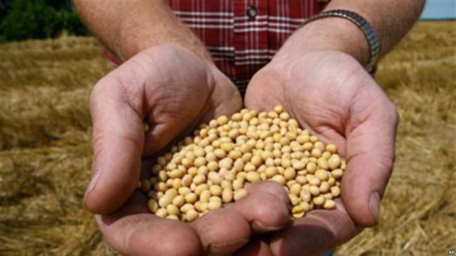 中国对美大豆关税反制:杀敌一千 自损一千(图)