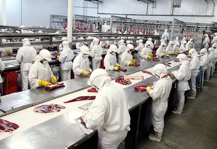 欧盟暂停巴西20家屠宰场的鸡肉进口