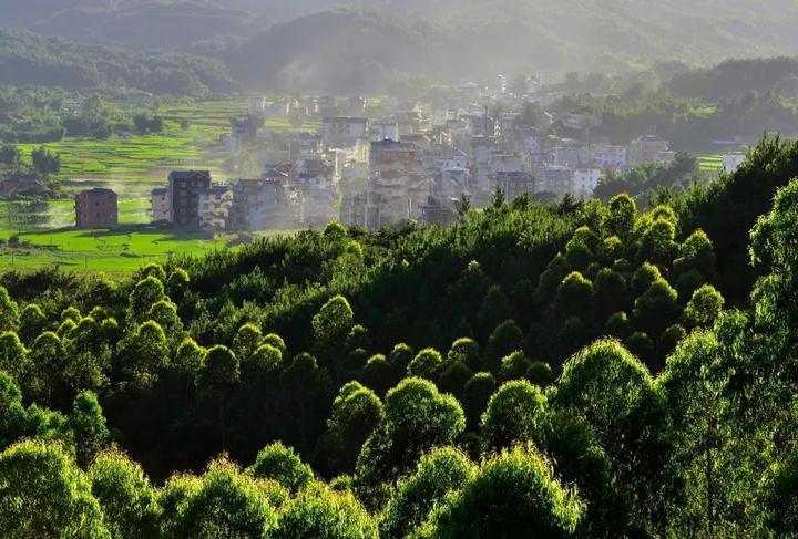 (东张镇少林村)