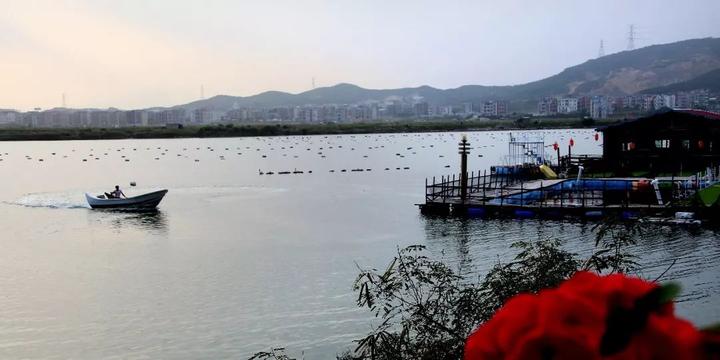 福清人,这样一个宜居舒适的村,是你的家乡吗?