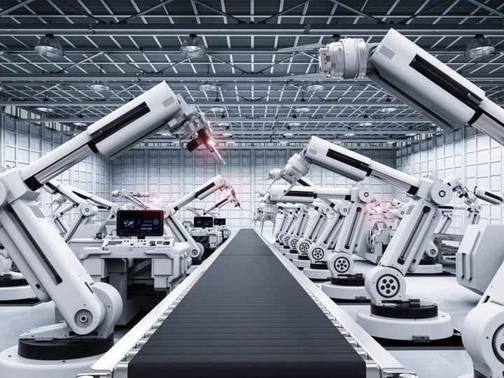 缤纷绚丽五月精彩活动照亮悉尼