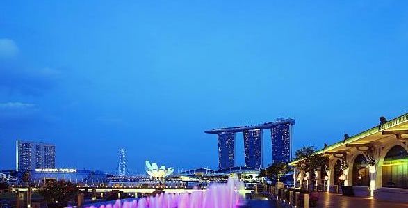 dependants pass(家属准证)