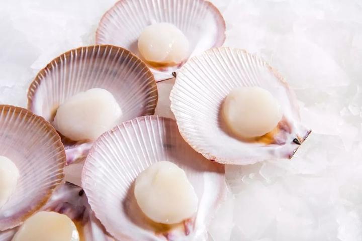 scallop 在澳洲,打捞扇贝同样合法,从每年的四月份,一直持续到年底的