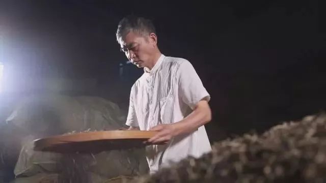 福鼎白茶制作技艺非物质文化遗产传承人 林飞应