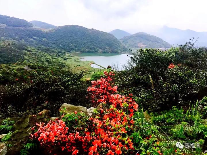 高山草场,传统村落.福清这个镇旅游业将迎来重大升级,快来瞧瞧!
