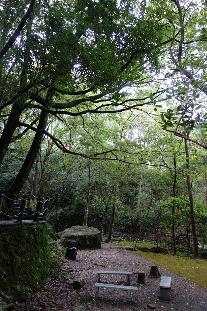 夏季福建,那些鲜为人知,人少的原始森林秘境