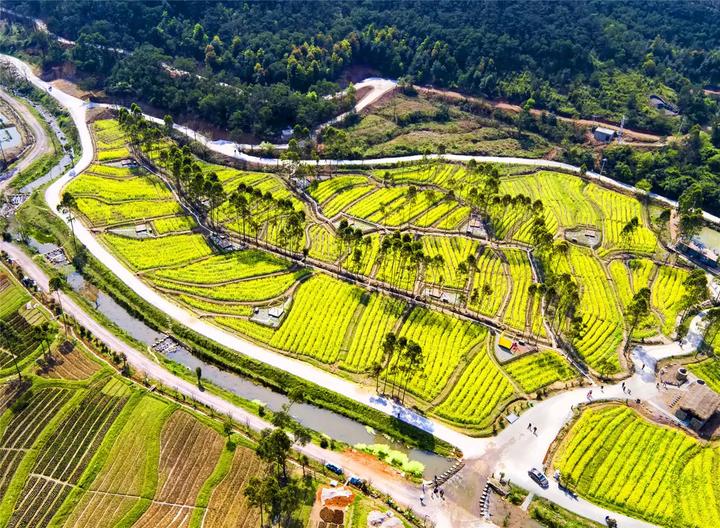 镜洋镇26°农庄 伴随着初秋的到来,当地道美食遇见田间的丰收音乐节