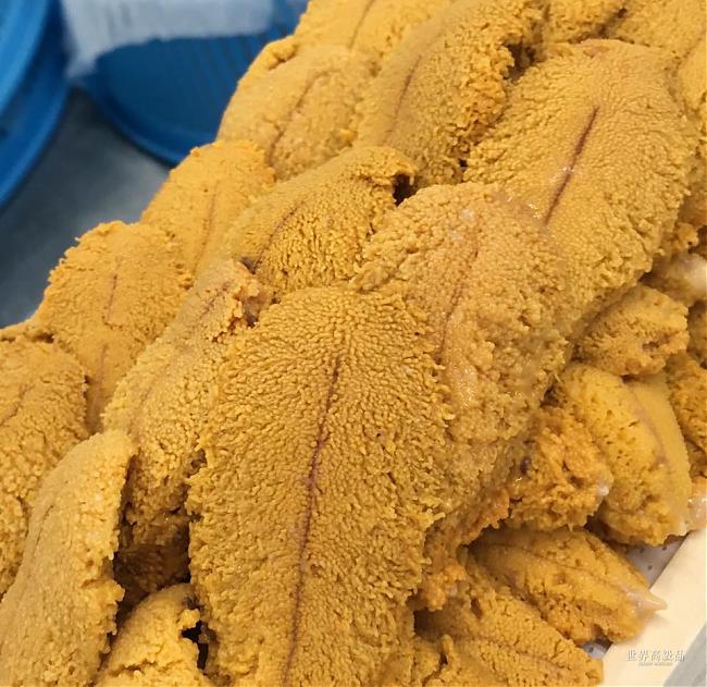 寿司之神小野二郎钦点的顶级食材:羽立紫海胆