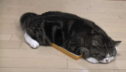 累了的时候回到家,把鞋子和包随意的一丢,往床上一趴,这一天最惬意的