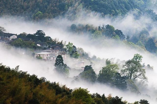 毛里塔尼亚_新闻_华人头条