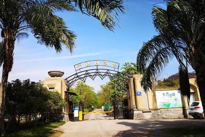 除了去看油菜花海,亦可来拥有2万平米的大草坪的千江月休闲农场.