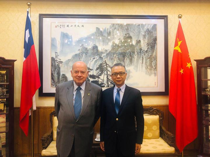徐步大使会见智利参议员因苏尔萨